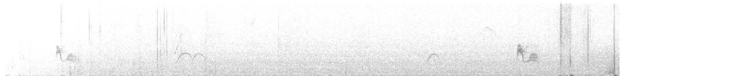 Lesser Elaenia - ML646474968