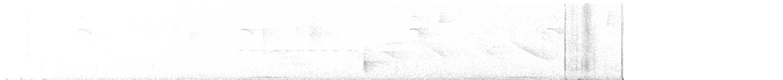 holub venezuelský - ML646475137