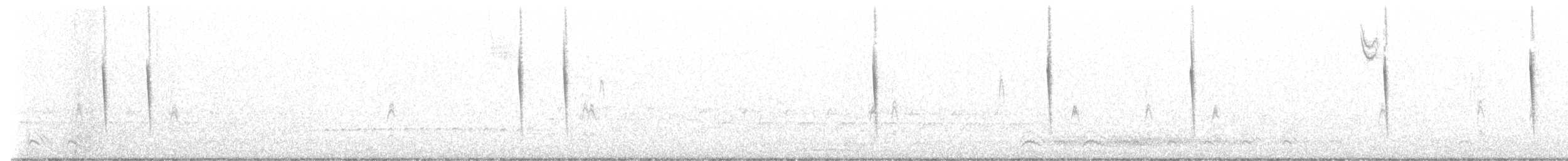 Sedge Wren - ML646475249