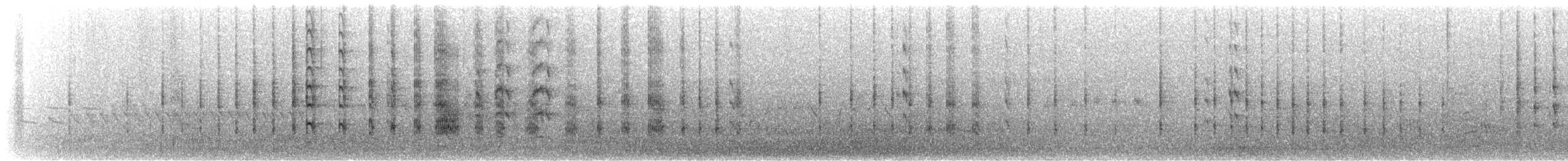 Forster txenada - ML646475399