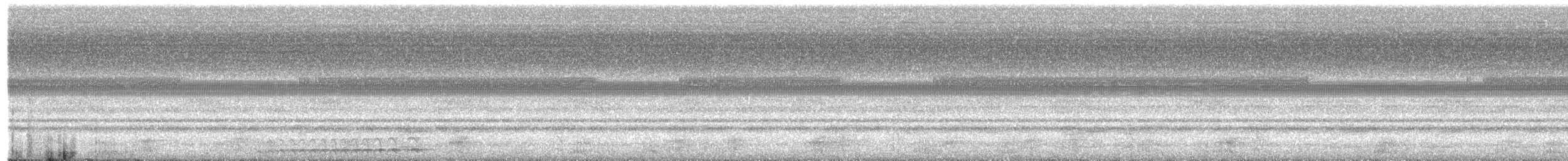 výreček neotropický - ML646475442