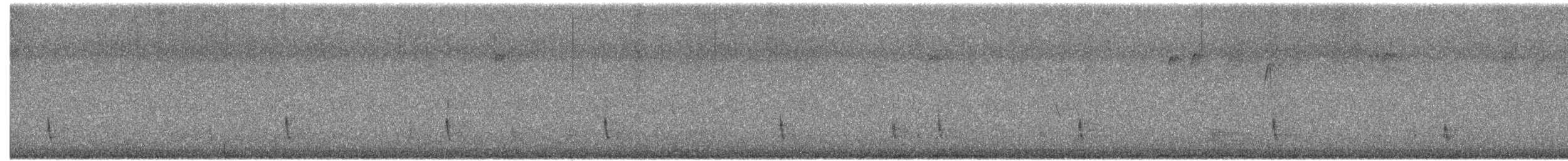 Einsiedler-Musendrossel - ML646475698