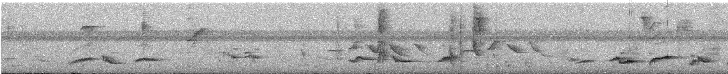 Zorzal Sabiá - ML646475920