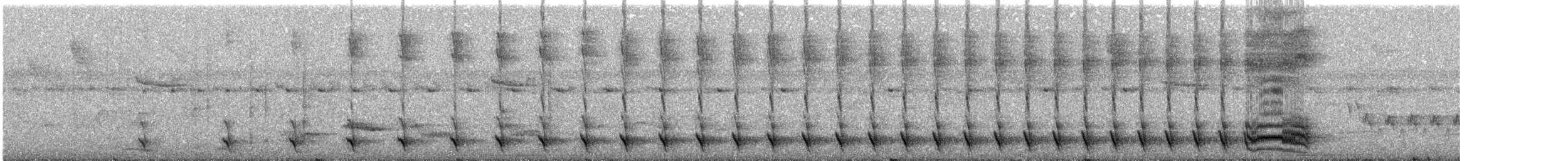 Great Antshrike - ML646476083