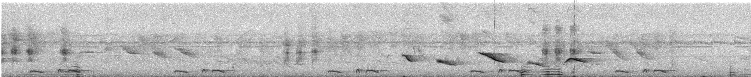 Schuppentäubchen - ML646476155