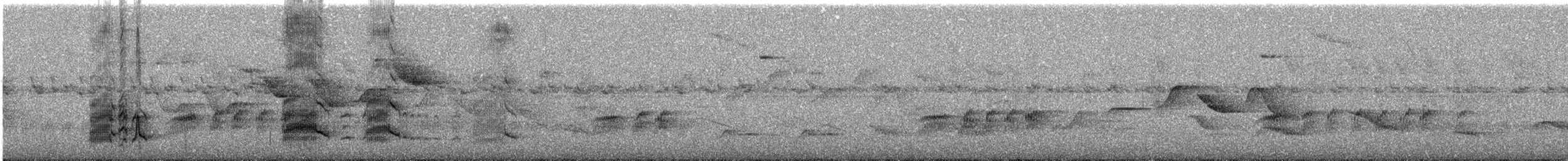 Swainson's Flycatcher - ML646476342