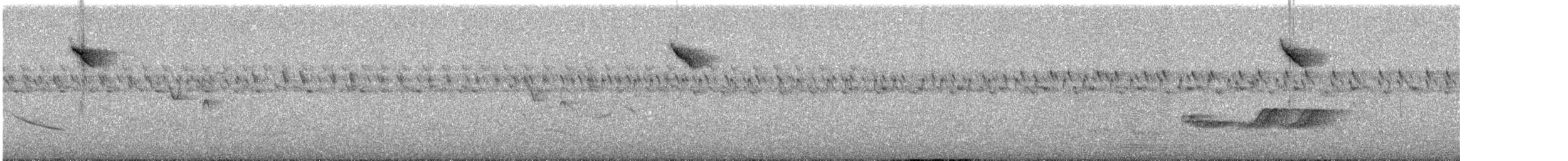 Blue Dacnis - ML646476399