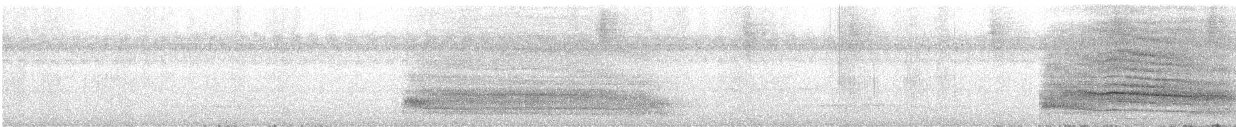 sova východní - ML646476414