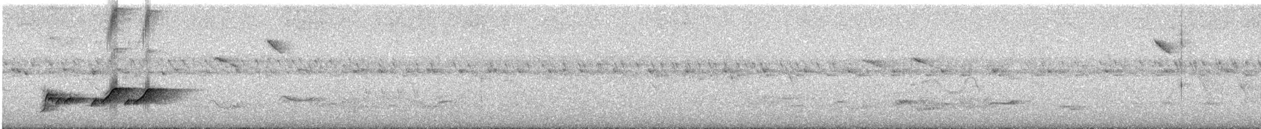 Helmeted Manakin - ML646476451