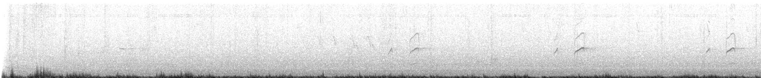 Кордильерская иглохвостка - ML646476475