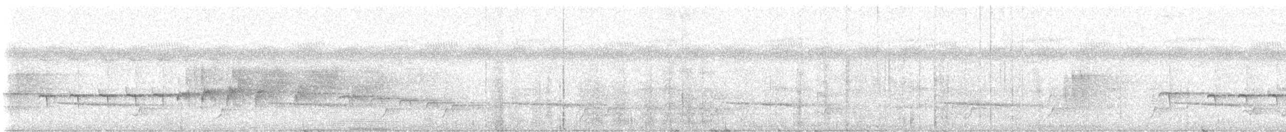 Guianan Warbling-Antbird - ML646476498