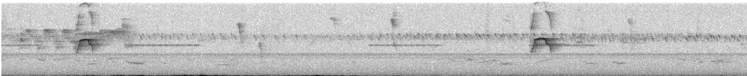 Красношапочный бентеви - ML646476614