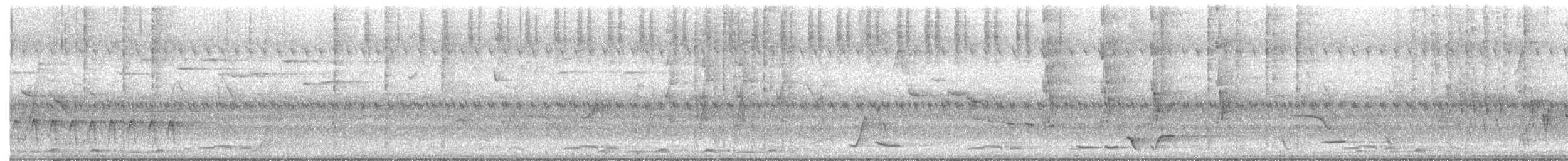 Little Shrikethrush (Rufous) - ML646476667