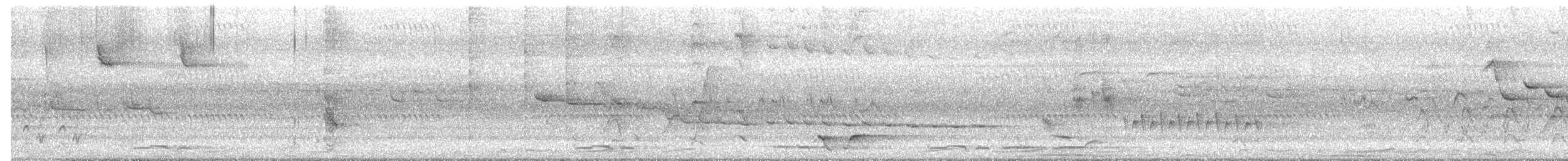 Little Shrikethrush (Rufous) - ML646476670