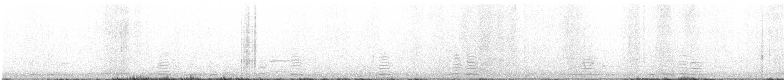 ברבור אמריקני - ML646476703