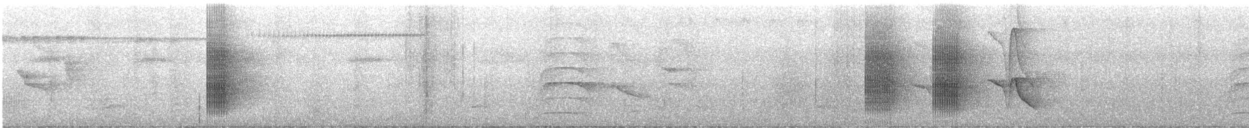 White-collared Manakin - ML646477715