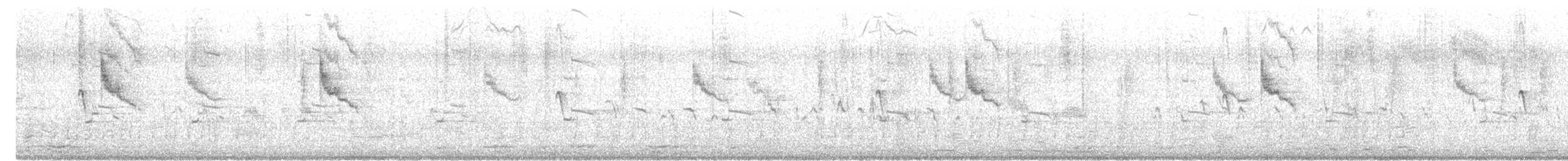 Black Phoebe (Northern) - ML646477744