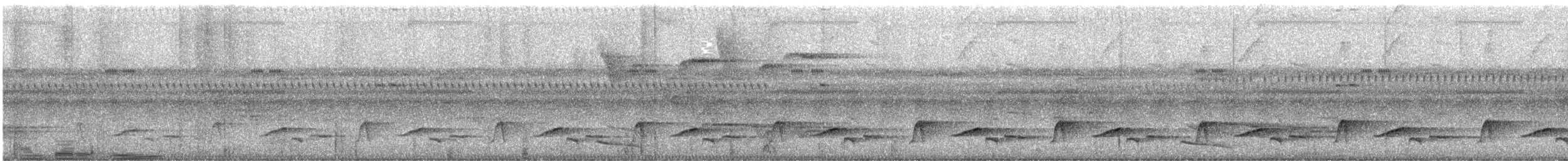 střízlík běloprsý - ML646477773