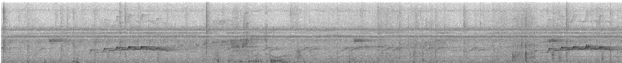 Bright-rumped Attila - ML646477785