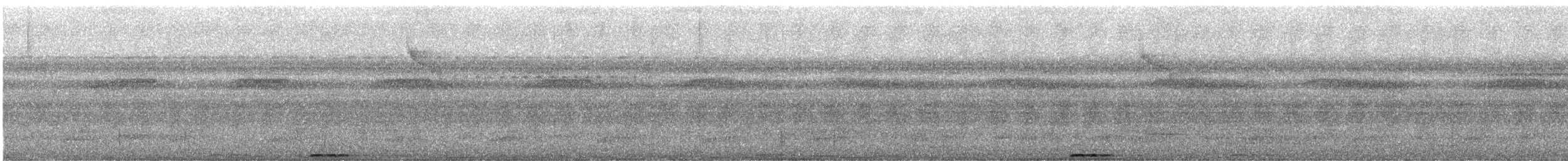 momot skořicový - ML646478016