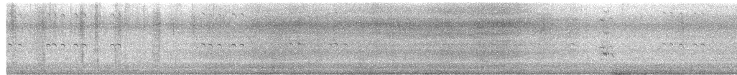 rybák královský - ML646478112