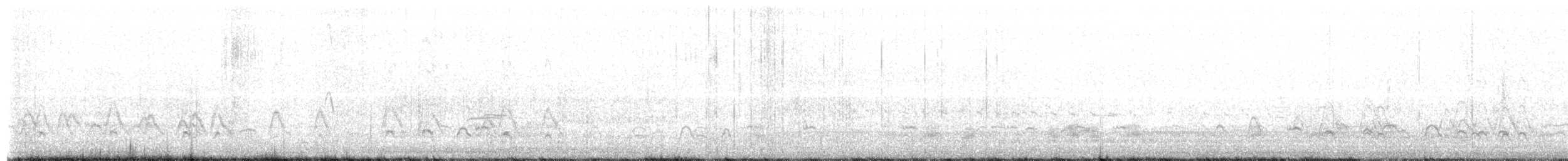 hvízdák americký - ML646478465