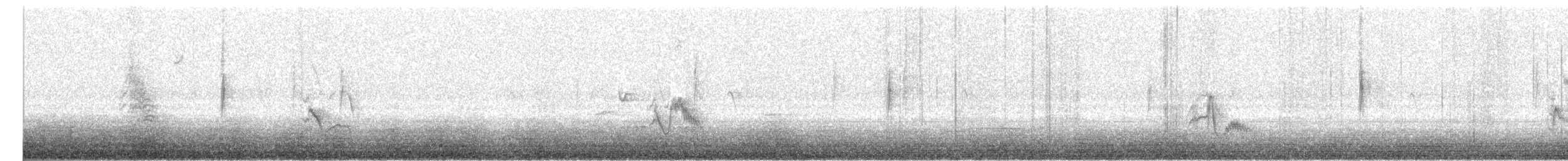 ニシフタスジモズモドキ／ハイイロフタスジモズモドキ - ML646478563