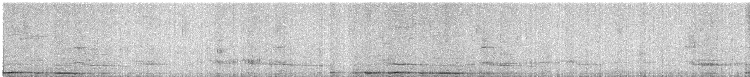 Plumbeous Pigeon - ML646479321