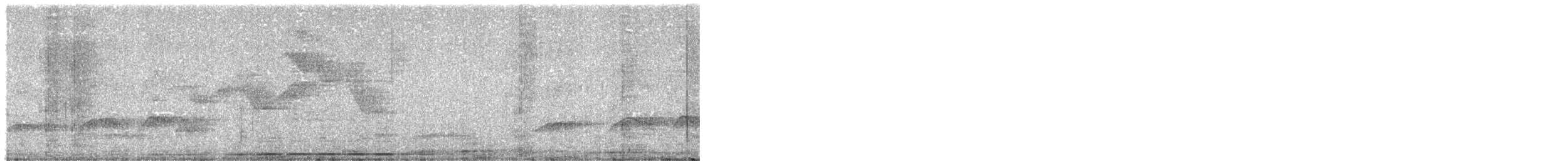 Variegated Antpitta - ML646479360