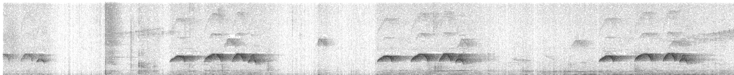 Rufous-tailed Attila - ML646479379