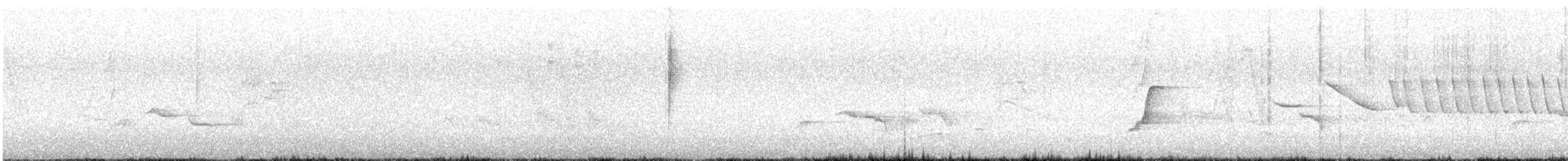 Andean Tinamou - ML646479492