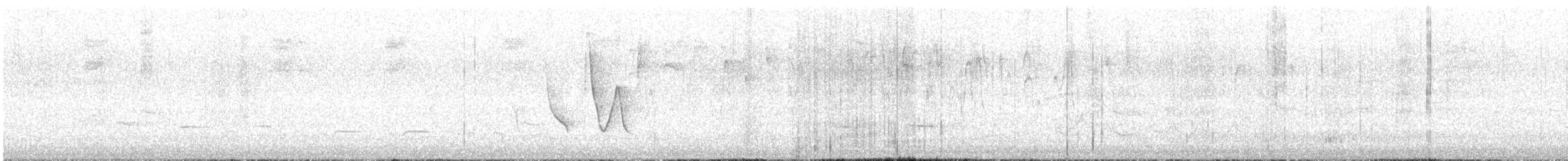 Striped Cuckoo - ML646479509