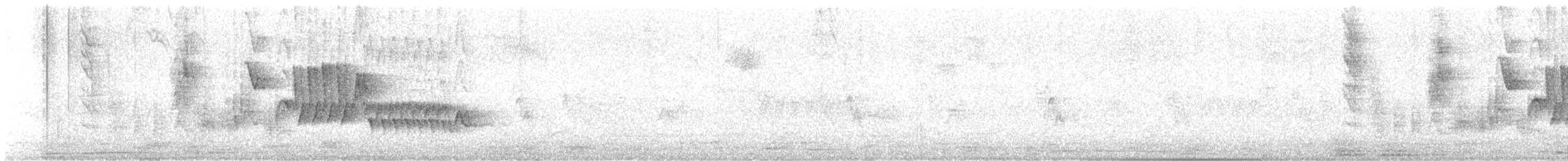 Southern House Wren - ML646479599