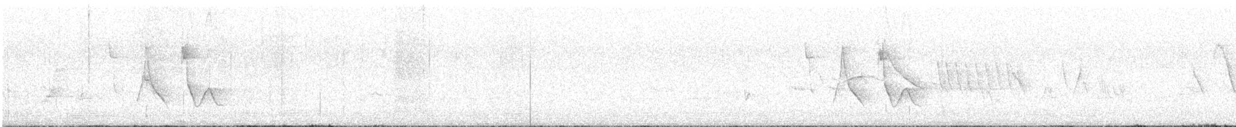 Double-collared Seedeater - ML646479613