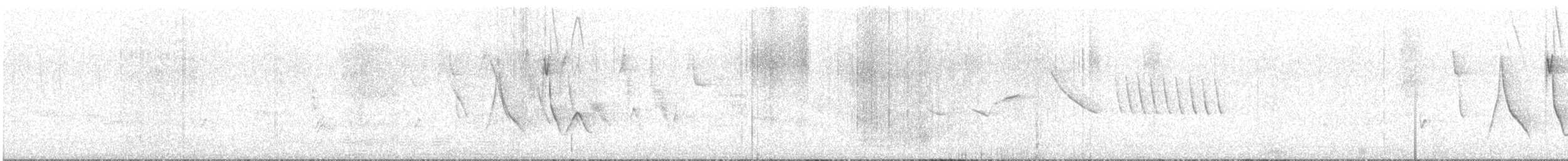 Double-collared Seedeater - ML646479614