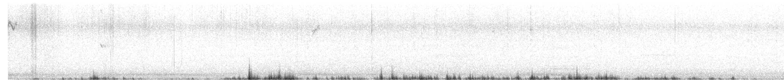 strnadec bělopásý (ssp. gambelii) - ML646481182