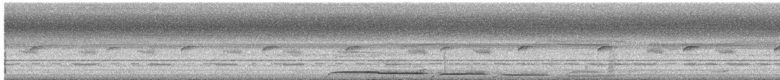 potu obecný - ML646481521