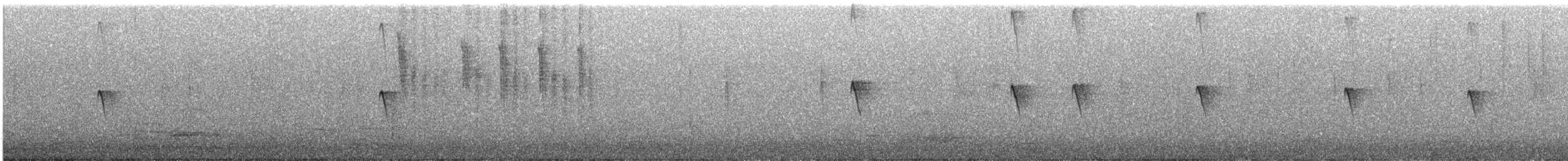 Black Phoebe - ML646481812