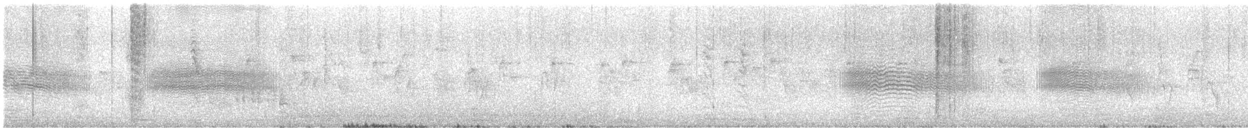 White-tipped Plantcutter - ML646481813