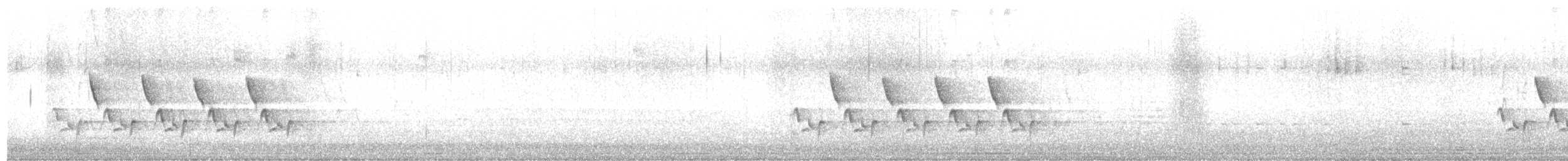 Carolina Wren - ML646482203