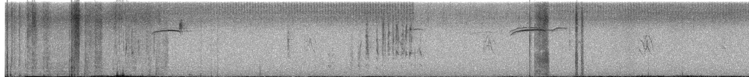 Marsh Wren (plesius Group) - ML646482224