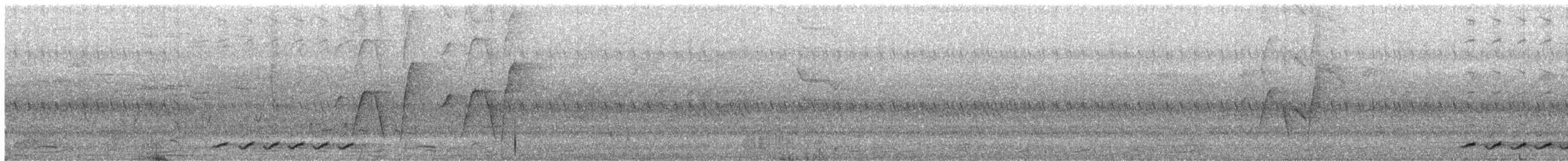 Little Shrikethrush (Rufous) - ML646482448