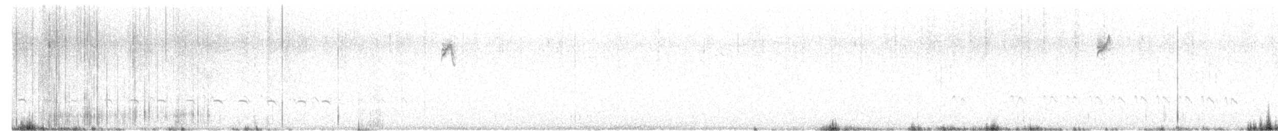 ミソサザイモドキ - ML646482552