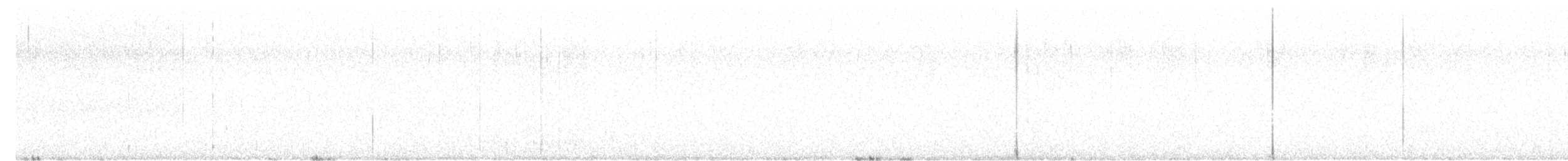 クロフヒメドリ（belli） - ML646482661