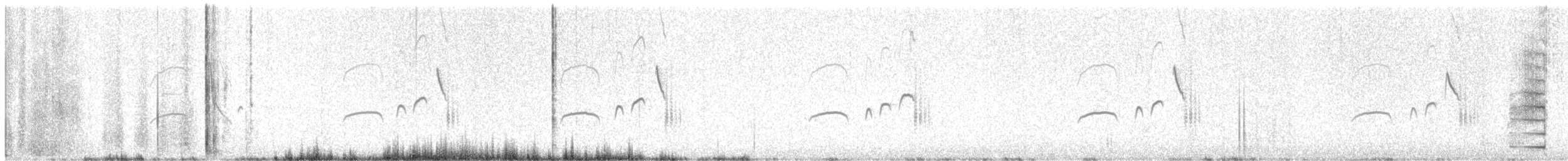 カンムリタイランチョウ - ML646482857