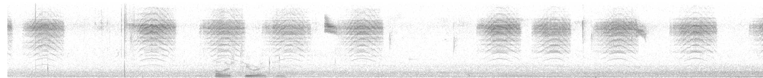 キヅタアメリカムシクイ（auduboni） - ML646482950