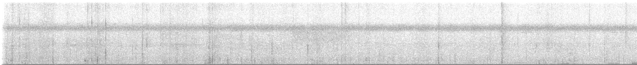 Spotted Antpitta - ML646483233