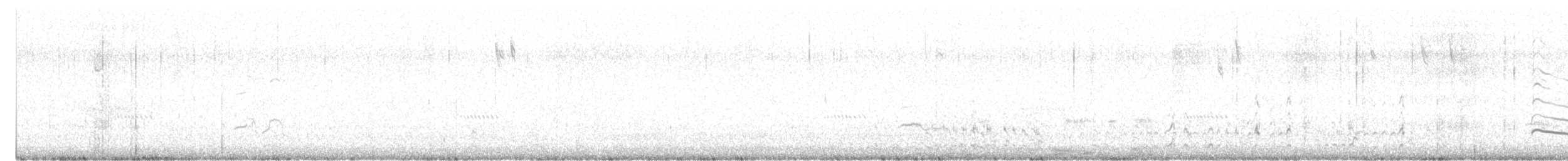 ハジロオオシギ（inornata） - ML646483333