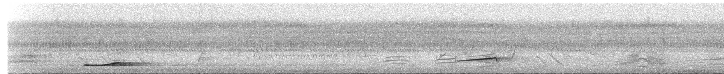 Codorniz de Tasmania - ML646483402