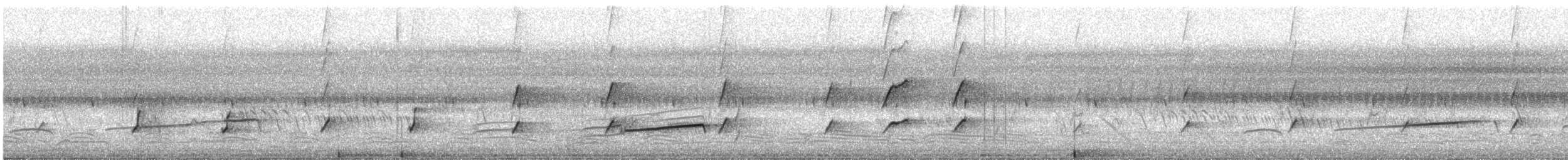Codorniz de Tasmania - ML646483403